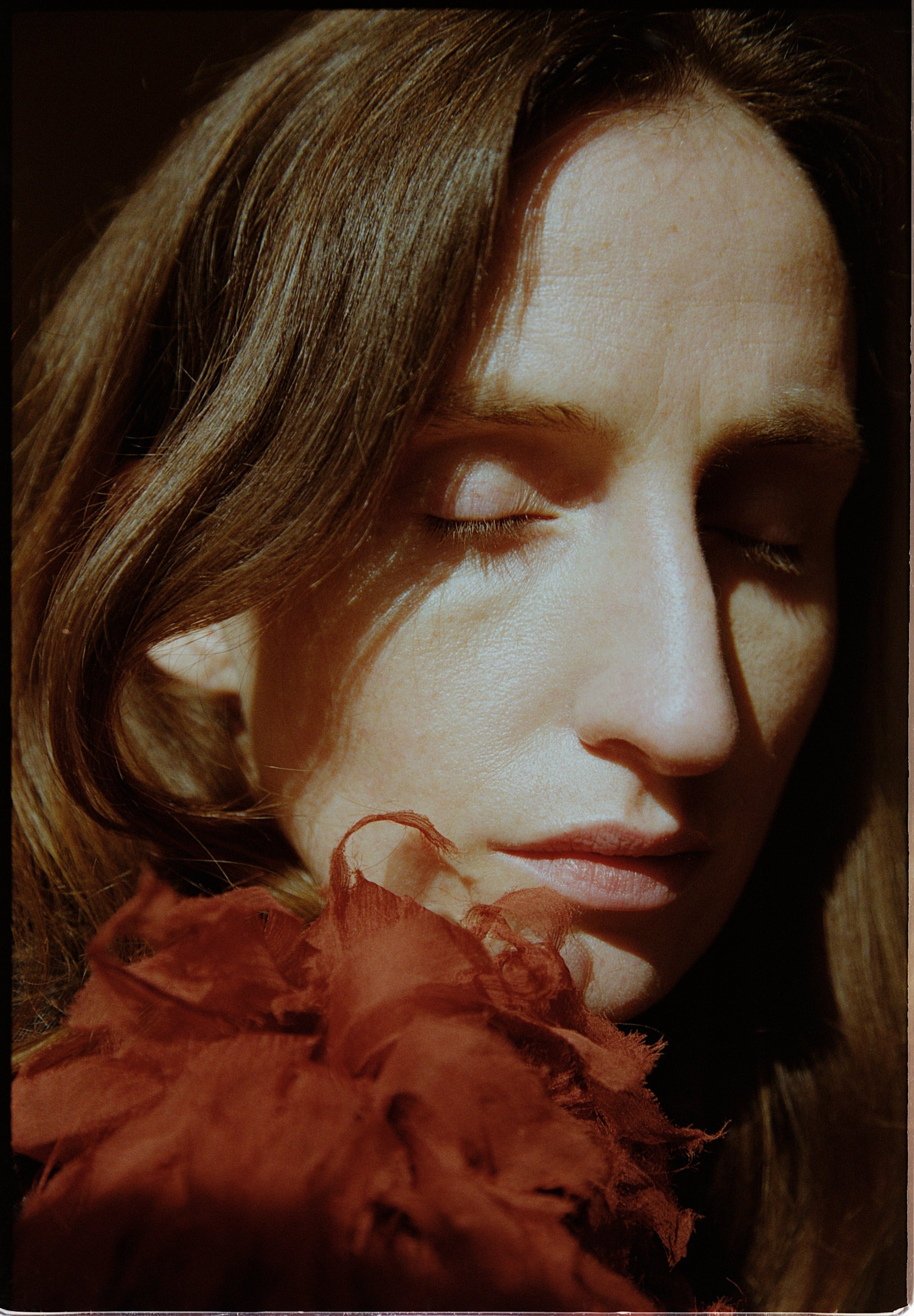 Sea anemone in Rust red